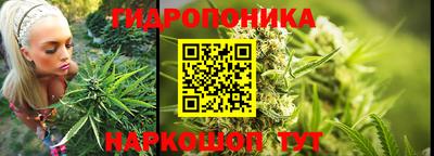 ешки Донецк