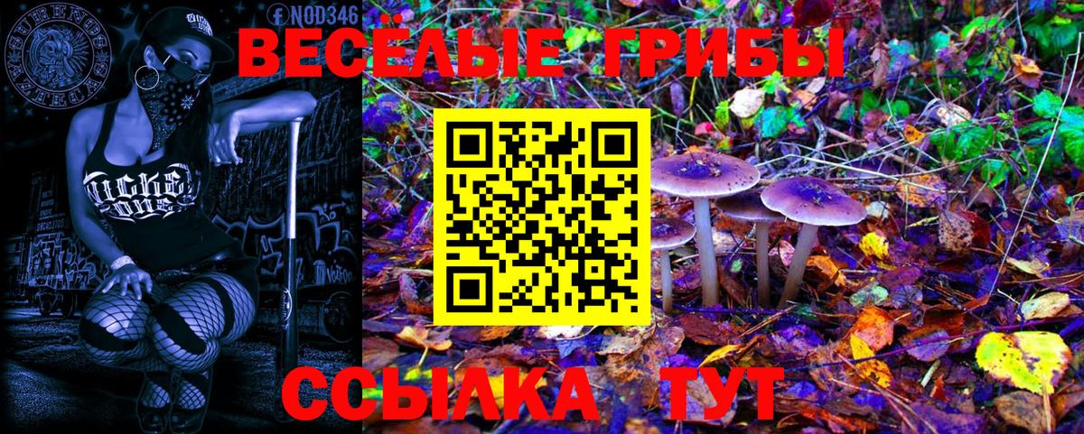 Галлюциногенные грибы GOLDEN TEACHER Москва